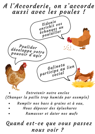 Les poules de l'Accorderie