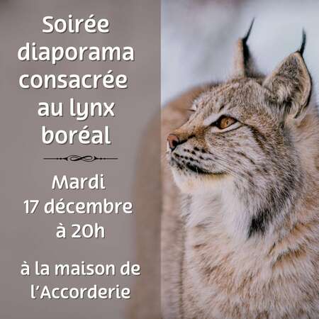 Soirée diaporama consacrée au lynx boréal