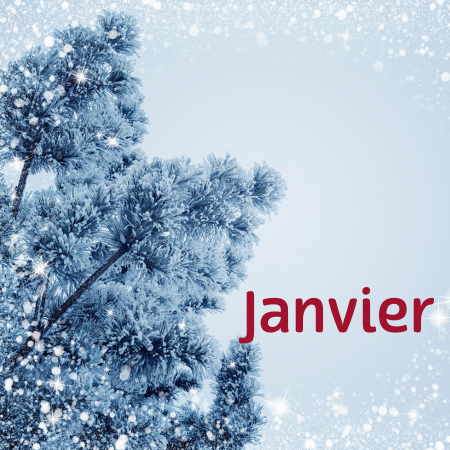 Agenda de janvier