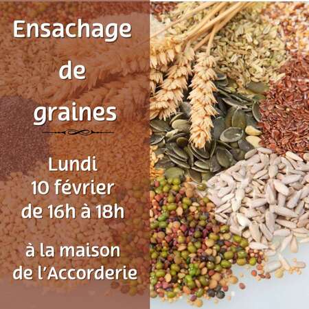 Ensachage de graines